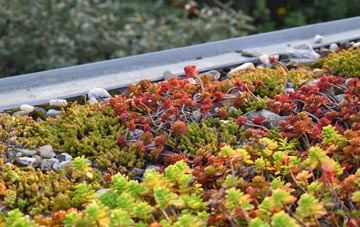 the cost of Milton Of Ogilvie green roof installation