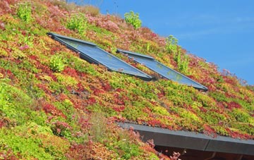 Milton Of Ogilvie living roof systems