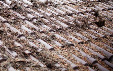 Milton Of Ogilvie roof cleaning companies